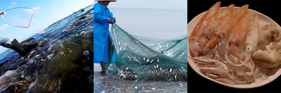 纪录片《两岸一味》：讲述台湾饮食中华渊源，大小屏融合传播触达两岸